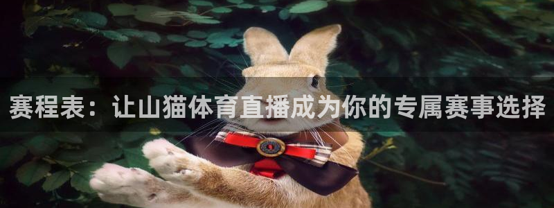 赛程表：让山猫体育直播成为你的专属赛事选择