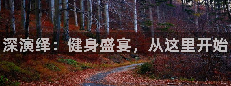深演绎：健身盛宴，从这里开始