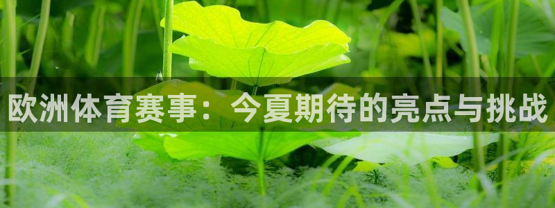 欧洲体育赛事：今夏期待的亮点与挑战