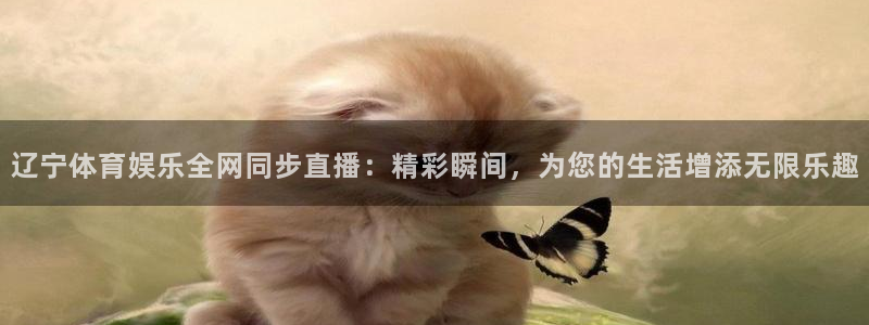 辽宁体育娱乐全网同步直播：精彩瞬间，为您的生活增添无限乐趣